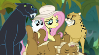 Fluttershy scratching the lynx's belly S9E21