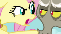 Fluttershy threatens Discord with the Stare S03E10