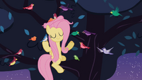 Fluttershy with birds S2E9