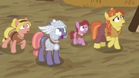 MH mare and villagers looking at Rockhoof S7E16