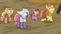 MH mare and villagers looking at Rockhoof S7E16.png (842 KB)