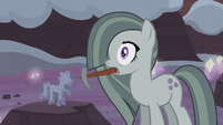 Marble Pie surprised S5E20