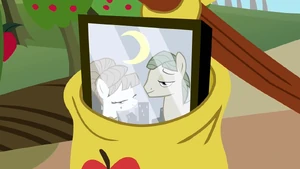 Photograph of Aunt Orange and Uncle Orange S1E23