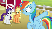 Rainbow Dash --every house in Ponyville!-- S6E15