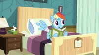 Rainbow Dash somepony there S2E16