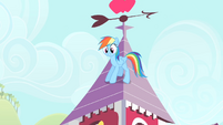 Dashie on top of Applejack's house.