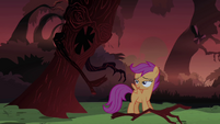 Scootaloo relieved S3E06