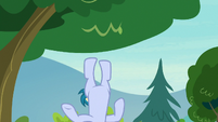 Skeedaddle falling out of a tree S7E21