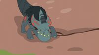 Slingtail S6E5.png (590 KB) Slingtail S6E5