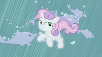 For Whom the Sweetie Belle Toils