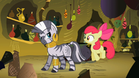 Zecora And Apple Bloom S2E6