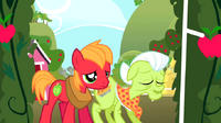 710px-Young Big Macintosh with Granny Smith S1E23
