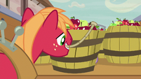 Big McIntosh picking up a barrel of apples S7E8