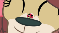 Close-up on ladybug on Yona's nose MLPS4