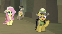 Daring Do thinking "not yet!" S9E21