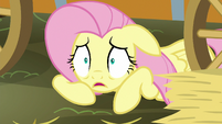 Fluttershy "How could I forget?" S5E21