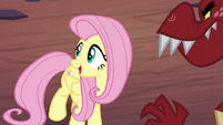 Fluttershy "looks to me like" S9E9