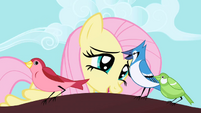 Fluttershy talking to bird S01E01