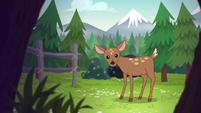 Opening credits - Deer grazing in a meadow EG4