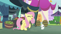 Pegasus Angel laughing at Fluttershy S9E18