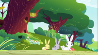 Rabbits with apples S1E23