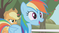 Rainbow Dash "A chance to audition for The Wonderbolts" S01E03