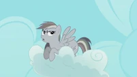 "Have you seen Ponyville? It's a disaster."