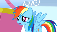 Rainbow Dash wishes she could have met the Wonderbolts when they were awake S1E16