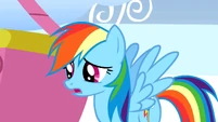 Rainbow wishes she could have meet the Wonderbolts when they were awake.
