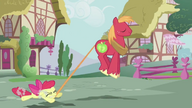 S02E17 Apple Bloom wyprowadza brata