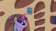 Twilight Sparkle reshelf books 5 S02E10