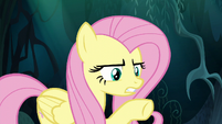 Fluttershy -do exactly what I say- S6E11