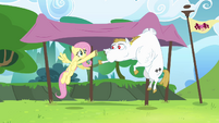 Fluttershy and Bulk practicing baton pass S4E10