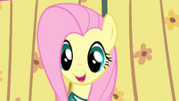 Fluttershy the fifth Ponytone S4E14