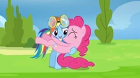 Of course Rainbow Dash remembers you, Pinkie.