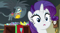 Rarity surprised with Gabby behind her S9E19