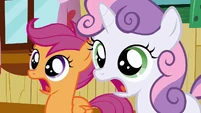 Did Apple Bloom intentionally hit her head?