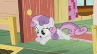 Sweetie Belle chases after Diamond Tiara S5E18