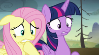 Twilight and Fluttershy frightened S5E23