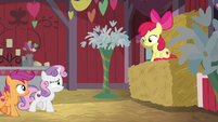 Apple Bloom sitting on a bale of hay S8E10