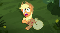 Applejack shocked by the statue's fall S5E16