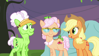 Applejack turns down Applesauce's invitation S3E8