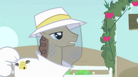 Beekeeper pony needs his bees back S4E03