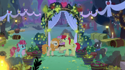 Bright Mac and Pear Butter getting married S7E13