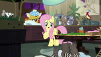Fluttershy "thought I'd have a beautiful sanctuary" S7E5