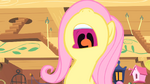 Fluttershy NO S01E17