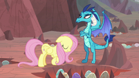 Fluttershy bows to Dragon Lord Ember S9E9