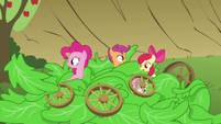 Pinkie Pie, Apple Bloom and Scootaloo sticking heads out of lettuce S3E4