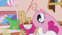 Pinkie looking at Gummy with her head upside down S5E8