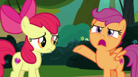 Scootaloo "strangest thing I've ever heard" S7E21